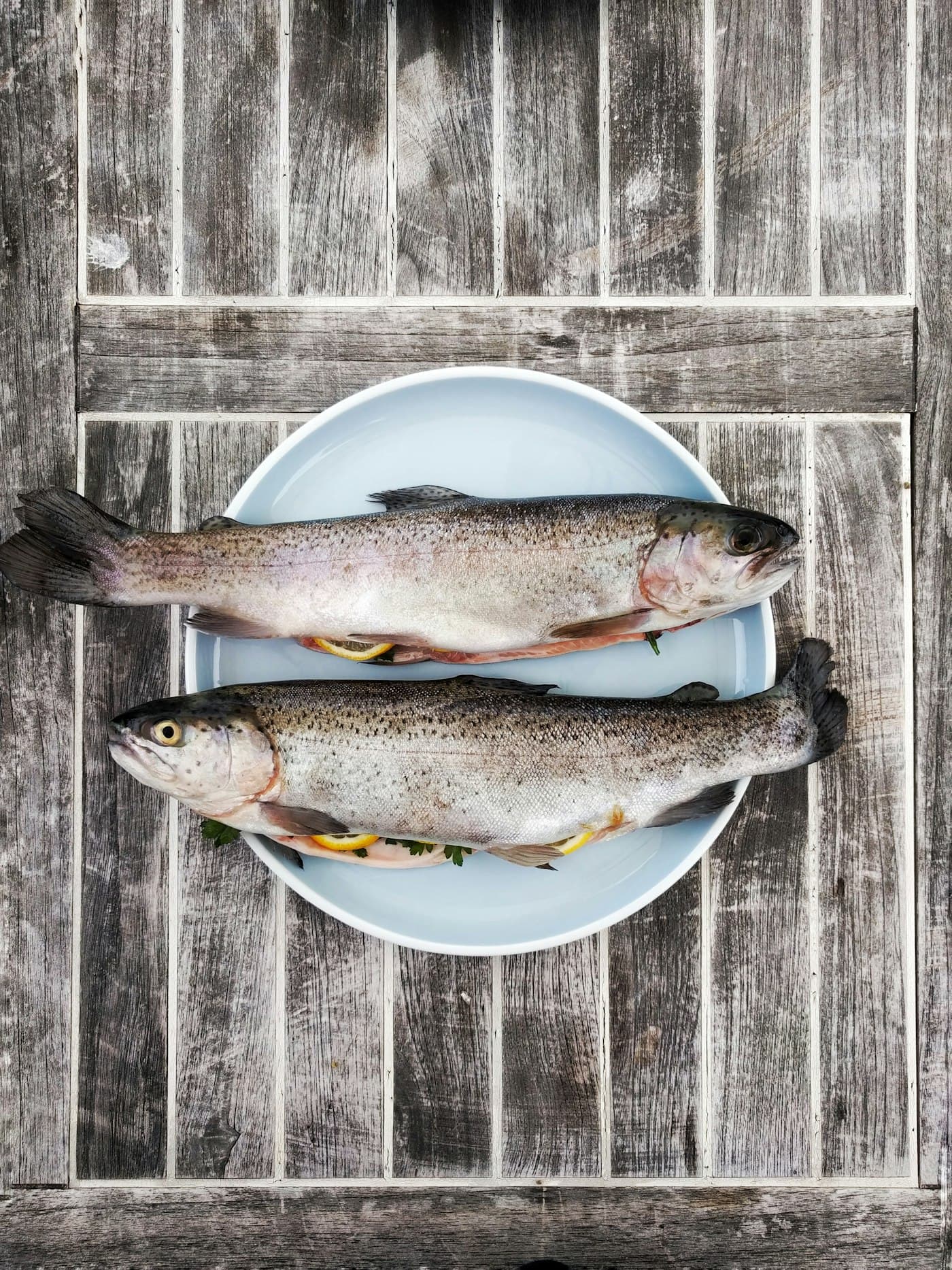 Peixe fresco (fotografia de exemplo)