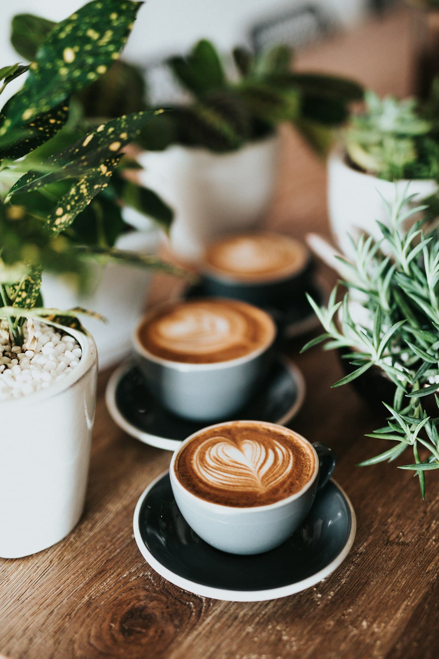 Chávenas de café com arte latte